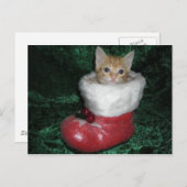 Timonの郵便はがき ポストカード (正面/裏面)