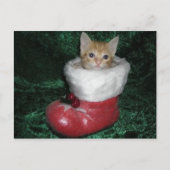 Timonの郵便はがき ポストカード (正面)