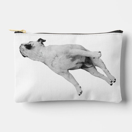 Tinsel-Quiet Organizer アクセサリーポーチ (正面)