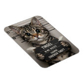 Tinsel the Christmas Kitten マグネット (右側)