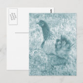 Tinted Hen ポストカード (正面/裏面)