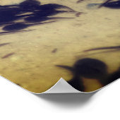 Tiny Black Toad Tadpoles Nature  ポスター (角)