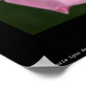 Tiny Dancer - Ballerinaバラ写真ポスター ポスター (角)