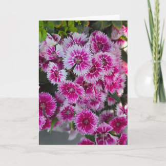 Tiny Pink Flowers Blank Notecard カード