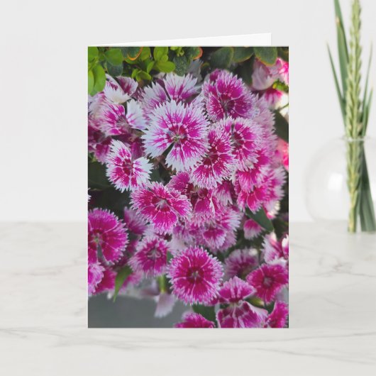 Tiny Pink Flowers Blank Notecard カード (正面)