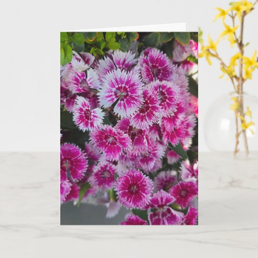 Tiny Pink Flowers Blank Notecard カード (黄色い花)
