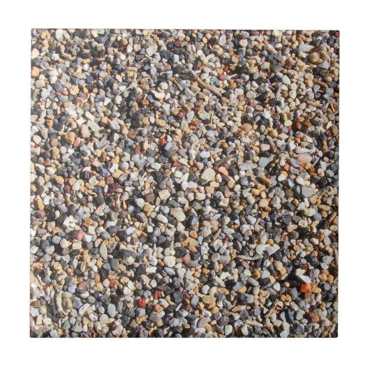 Tiny Rocks, Ant Hill Close up, Utah タイル (正面)