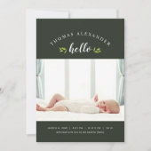 Tiny Tigs写真誕生のお知らせ 案内状 (正面)