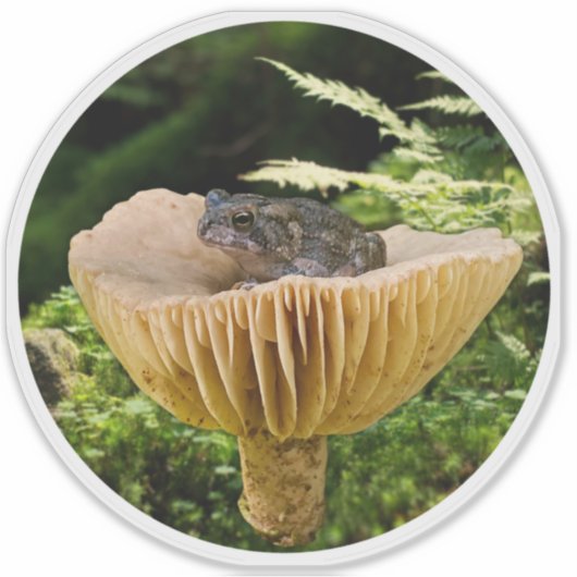 Tiny Toad on a Mini Mushroom with Ferns シール (正面)