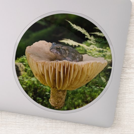 Tiny Toad on a Mini Mushroom with Ferns シール (詳細)