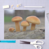 Tiny Toadstoolsマクロティッシュペーパー 薄葉紙 (クラフト)