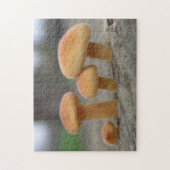 Tiny Toadstoolsマクロパズル ジグソーパズル (縦)