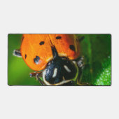 Tiny Traveler: Ladybug on a Leaf デスクマット (正面)
