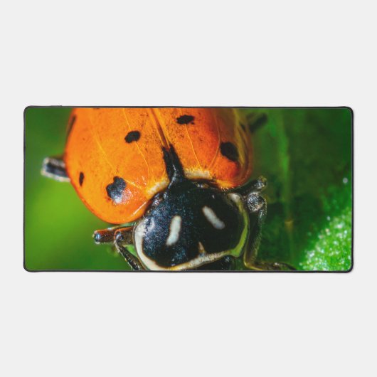 Tiny Traveler: Ladybug on a Leaf デスクマット (正面)