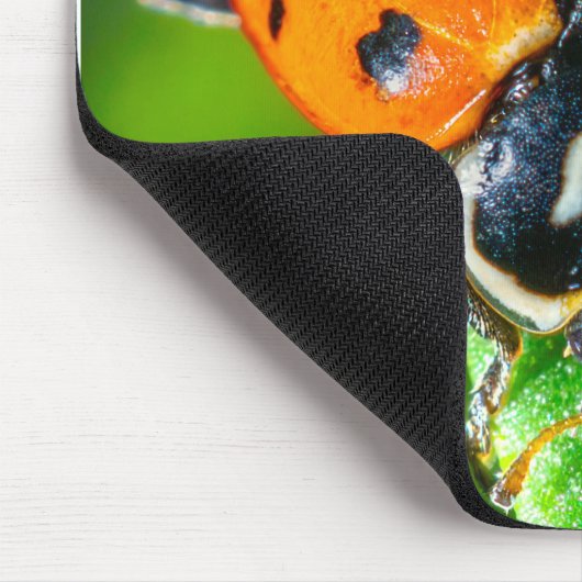 Tiny Traveler: Ladybug on a Leaf マウスパッド (コーナー)
