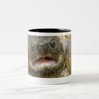 Tinytwo 02 ツートーンマグカップ