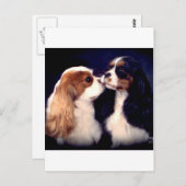 Tippyフリート街の新星 ポストカード (正面/裏面)