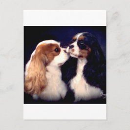 Tippyフリート街の新星 ポストカード