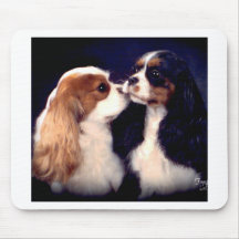 Tippyフリート街の新星