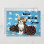 Tippy's Christmas PostCard - Cat /子猫 シーズンポストカード (正面/裏面)