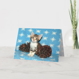 Tippy's Winter pinecones - Cat / Kitten Chrimas シーズンカード
