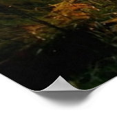 Tire tracks in the Woodsポスターのアートワーク壁画 ポスター (角)