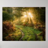 Tire tracks in the Woodsポスターのアートワーク壁画 ポスター (正面)