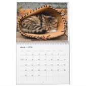 Tired Tabbies Calendar カレンダー (3月 2026)