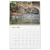 Tired Tabbies Calendar カレンダー (1月 2026)