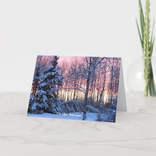 「Tis北の冬休みの上の季節 カード (正面)