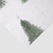 Tissue Paper 薄葉紙 (詳細)