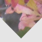 Tissue Paper - Autumn Leaves 薄葉紙 (詳細)