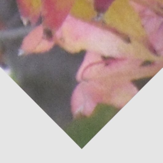 Tissue Paper - Autumn Leaves 薄葉紙 (詳細)