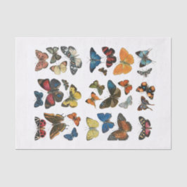 Tissue Paper butterfly decoupage 薄葉紙