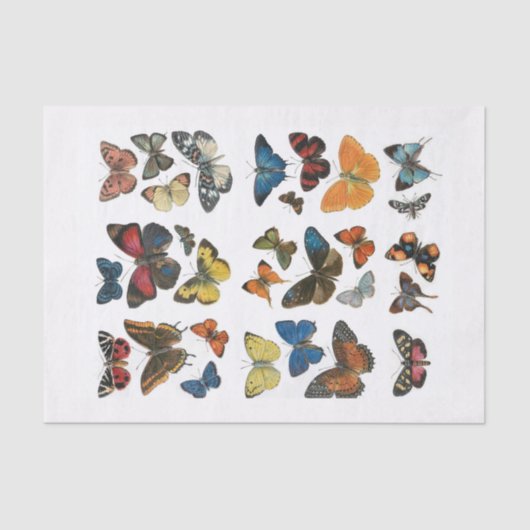 Tissue Paper butterfly decoupage 薄葉紙 (正面)