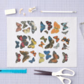 Tissue Paper butterfly decoupage 薄葉紙 (クラフト)