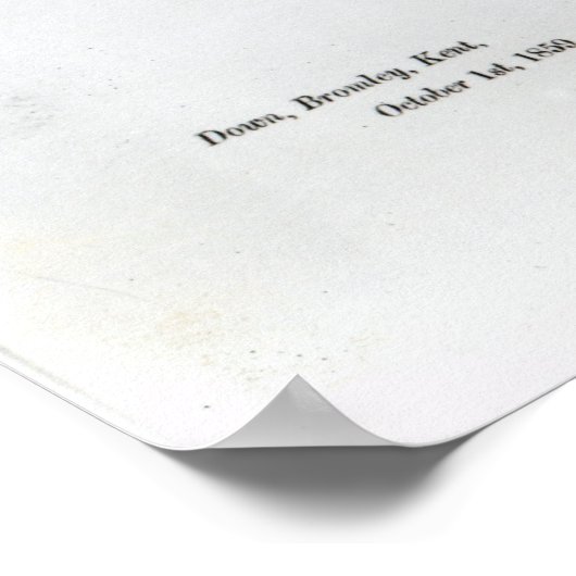 Titlepage to 'On the Origin of Species' ポスター (角)