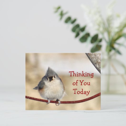 Titmouseポストカ空白のーカスタマイズ – 任意の大事な行事 ポストカード (スタンド正面)