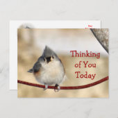 Titmouseポストカ空白のーカスタマイズ – 任意の大事な行事 ポストカード (正面/裏面)