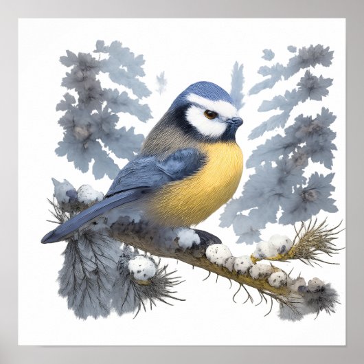 Titmouse bird ポスター (正面)