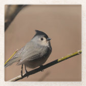 Titmouse_Coaster ガラスコースター (正面)