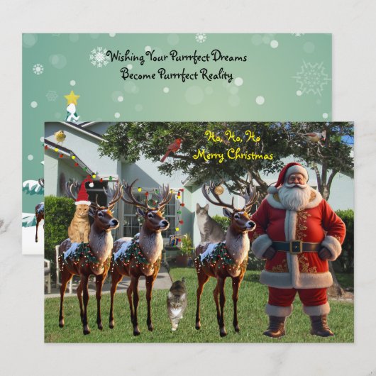 Tito's Dream - 2025 クリスマスカード (正面/裏面)