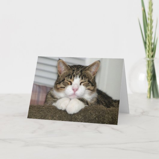 tj カード (正面)