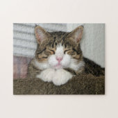 tj ジグソーパズル (横)