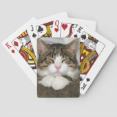 tj トランプ (裏面)