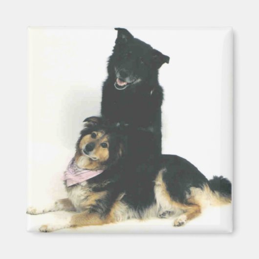 TKとカビック マグネット (正面)