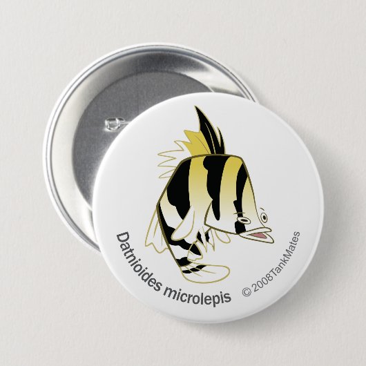 TM12 Dathioides microlepis 缶バッジ (正面&裏面)