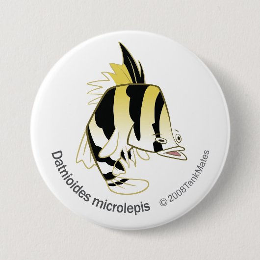 TM12 Dathioides microlepis 缶バッジ (正面)