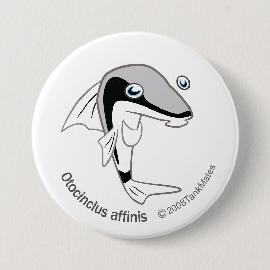 TM15 Otacinclus affinis 缶バッジ (正面)