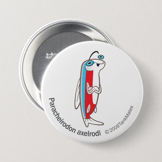 TM 02 Paracheirodonのaxelrodi 缶バッジ (正面&裏面)
